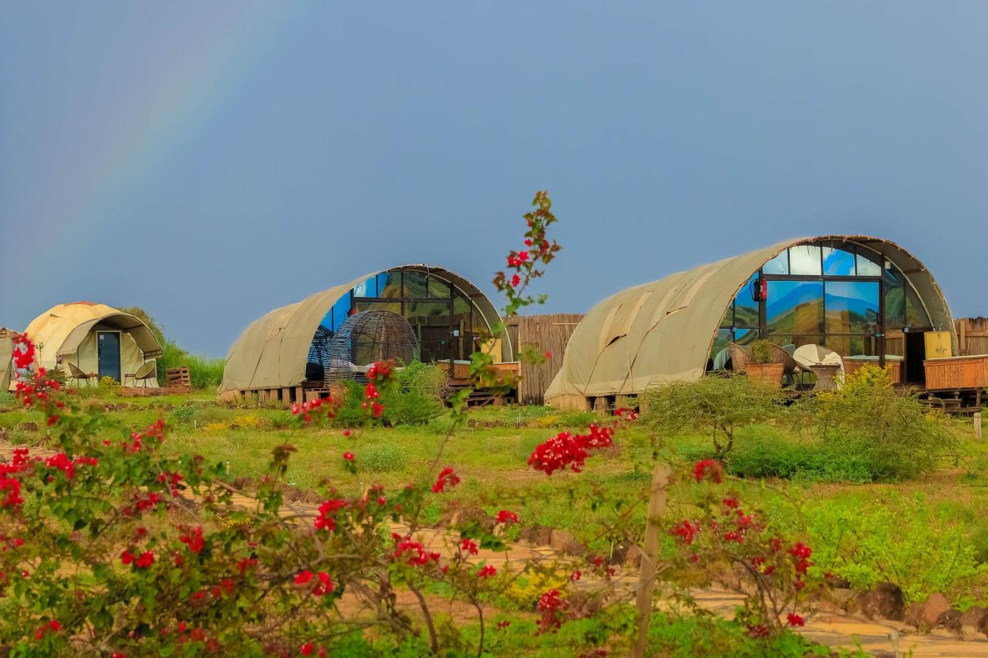 Little Amanya Camp Hotel Amboseli Kültér fotó